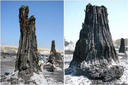 Picture 1 of Hungary: Discover an ancient forest of 8 million years old