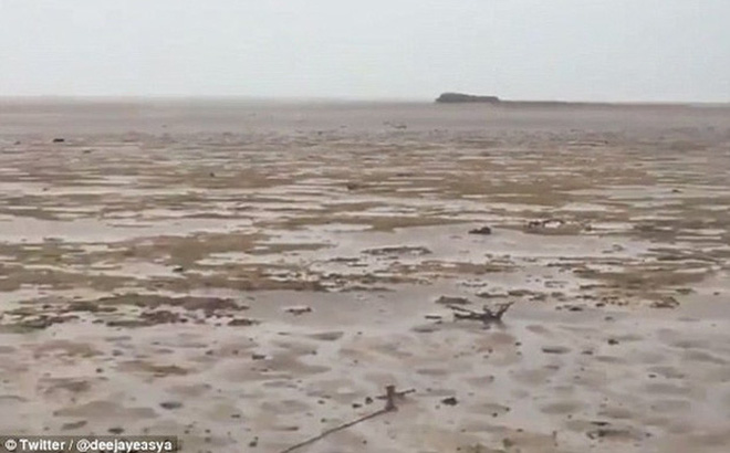 Picture 1 of Hurricane Irma drained seawater, a rare phenomenon of surreality