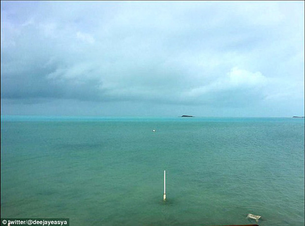 Picture 2 of Hurricane Irma drained seawater, a rare phenomenon of surreality