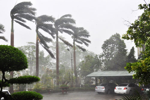 Picture 11 of Hurricane Rammasun has gone to China