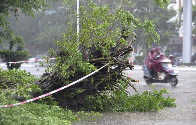 Picture 8 of Hurricane Rammasun killed 4 people in China