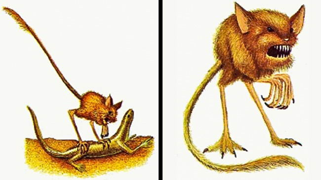 Picture 4 of I can't believe these are creatures that will live with us in the future