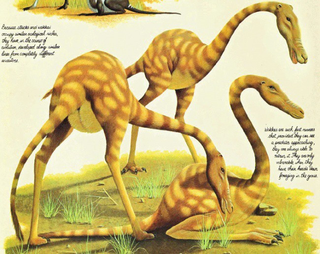 Picture 6 of I can't believe these are creatures that will live with us in the future