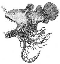 Picture 1 of I know ... fishing