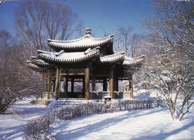 Picture 8 of I tried Sơn Trang and Grammy Temple - China