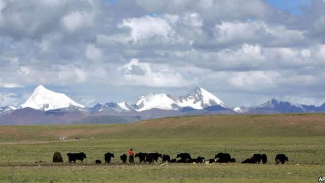 Picture 1 of Ice melts in Tibet and threatens Vietnam