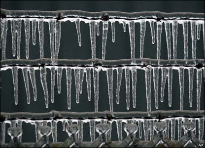 Picture 5 of Ice rains in the United States killed many people
