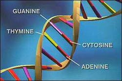 Picture 1 of Identify genes that affect alcohol consumption