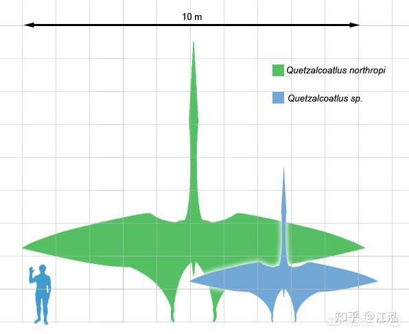 Picture 4 of If flying dinosaurs were not extinct, could humans tame them into mounts?