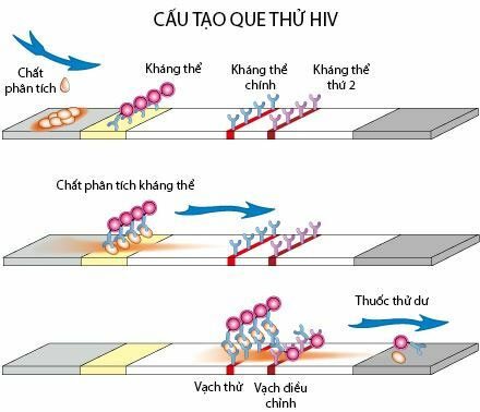 Picture 1 of If the HIV test is cut, it will falsify the test result