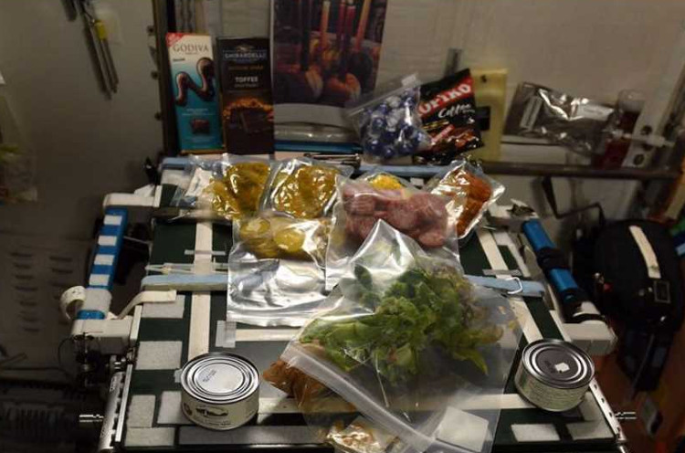 Picture 3 of If there was a party on the spacecraft, what would the astronauts do?
