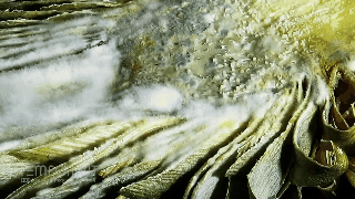 If you have questions about how the food process is molded, this is the answer for you! images 2