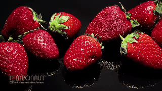 If you have questions about how the food process is molded, this is the answer for you! images 4