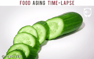 If you have questions about how the food process is molded, this is the answer for you! images 7