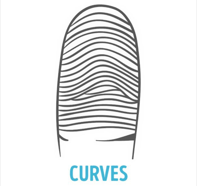 Picture 4 of If you own a fingerprint of this type, you are born with a rare talent