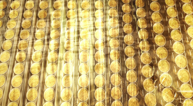 Picture 3 of If you're a fan of instant noodles, do you know how noodles are fried?