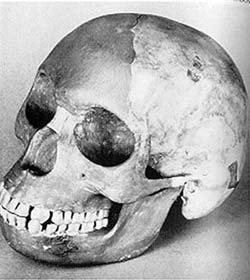Picture 2 of Illusion and trick 40 years - Deception in science (Term 1)