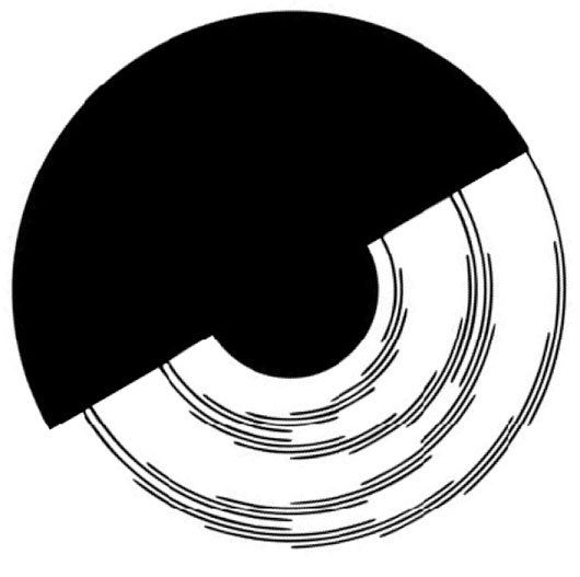 Picture 1 of Illusions rotate in a strange way