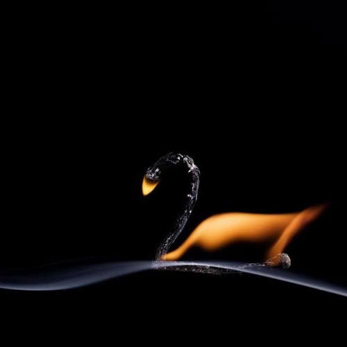 Picture 10 of Image beams use matches to turn into animals