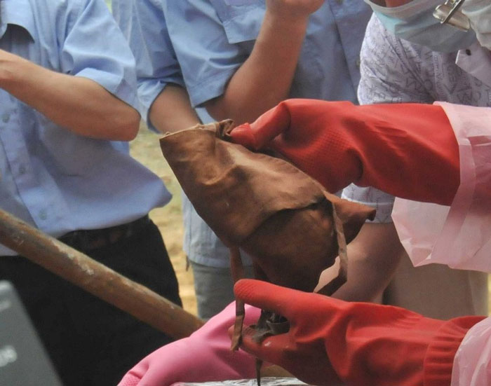 Picture 8 of Image: Excavating the tomb of the post-Ming Dynasty