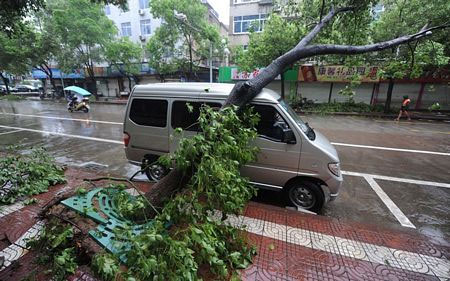 Picture 10 of Image: Strong storm devastating eastern China