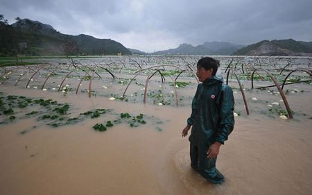 Picture 11 of Image: Strong storm devastating eastern China