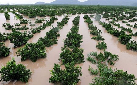 Picture 12 of Image: Strong storm devastating eastern China