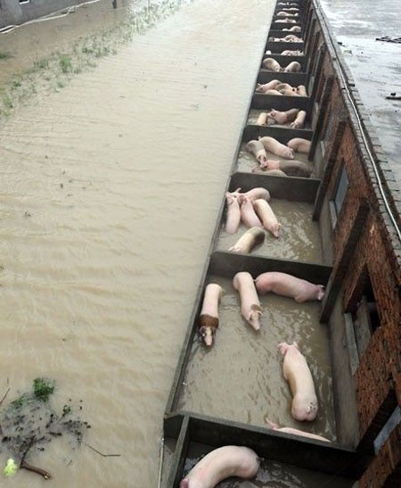 Picture 3 of Image: Strong storm devastating eastern China