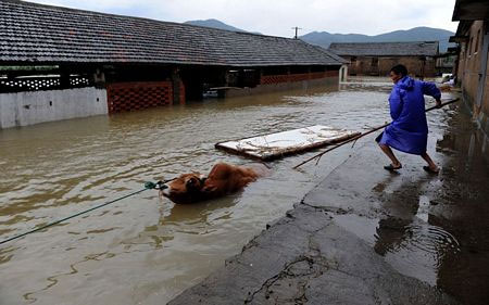 Picture 4 of Image: Strong storm devastating eastern China