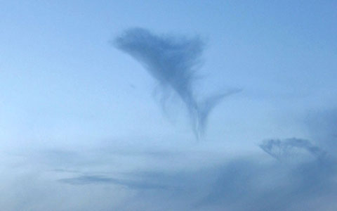 Picture 10 of Images: Funny shapes of clouds