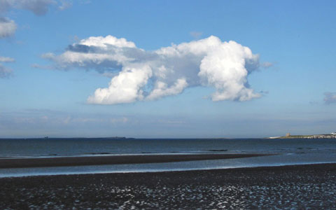 Picture 12 of Images: Funny shapes of clouds