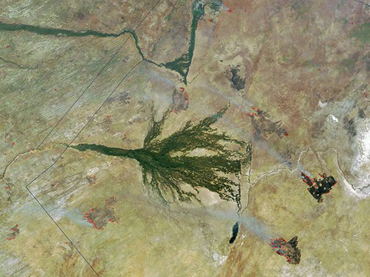 Picture 14 of Images never published about Earth