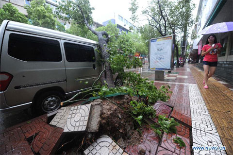 Picture 3 of Images of Haikui storm landed in China