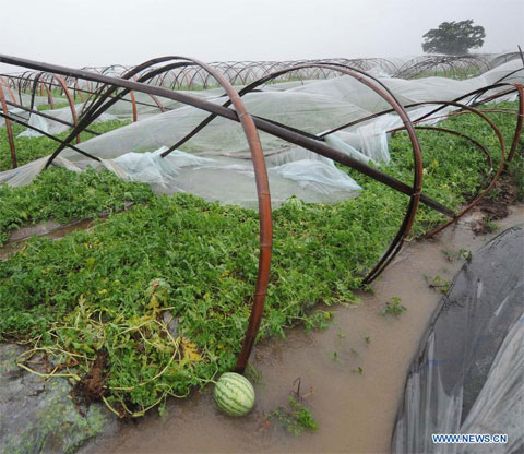 Picture 6 of Images of Haikui storm landed in China
