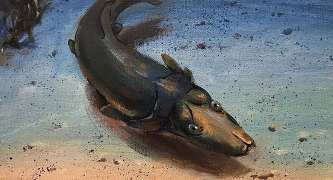 Picture 1 of Images of platypus fish found in ancient coral reefs