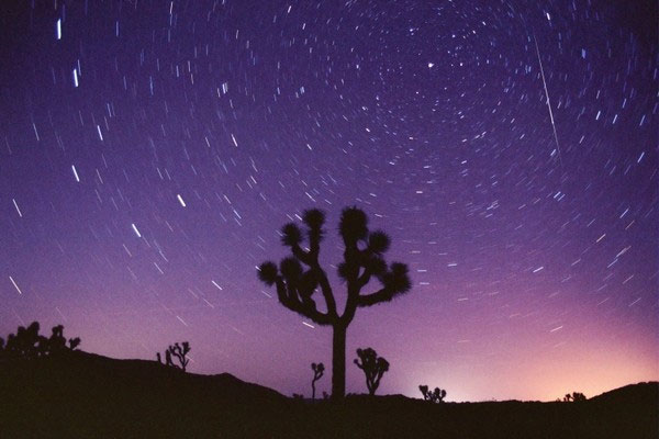 Picture 9 of Images of the most beautiful meteor shower in the past 15 years