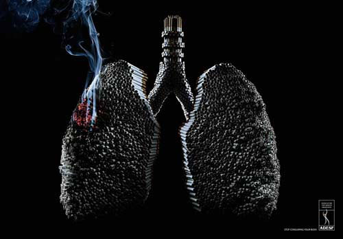 Picture 1 of Images of the terrible destruction of cigarettes