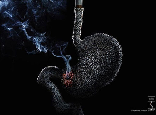 Picture 11 of Images of the terrible destruction of cigarettes