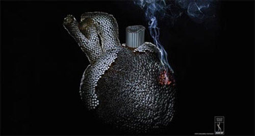 Picture 12 of Images of the terrible destruction of cigarettes