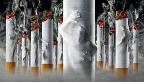 Picture 13 of Images of the terrible destruction of cigarettes