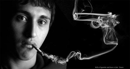 Picture 8 of Images of the terrible destruction of cigarettes