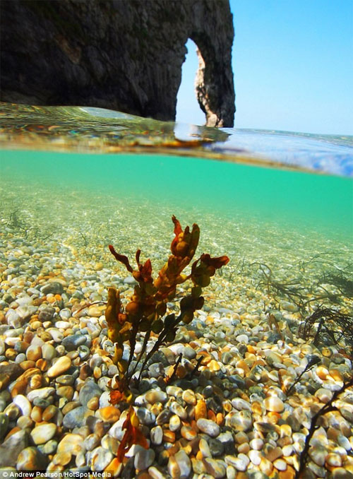 Picture 2 of Images separate on and below the water surface