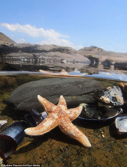 Picture 3 of Images separate on and below the water surface