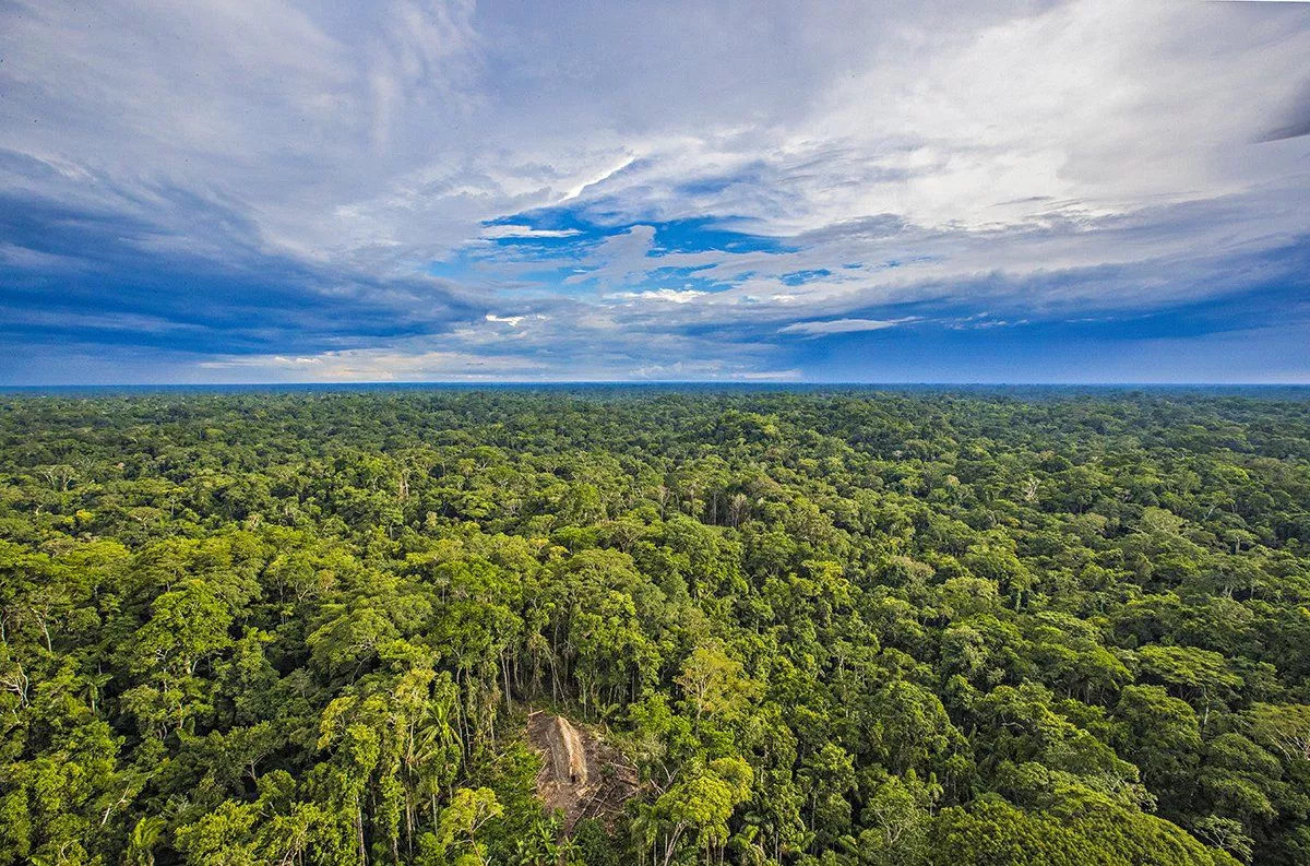 Picture 10 of Immutable life through 20,000 years of the Amazon forest tribe