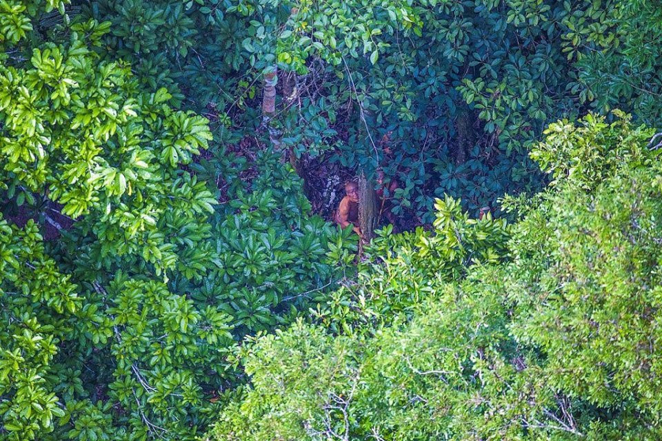 Picture 5 of Immutable life through 20,000 years of the Amazon forest tribe
