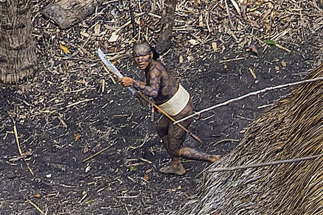 Picture 8 of Immutable life through 20,000 years of the Amazon forest tribe