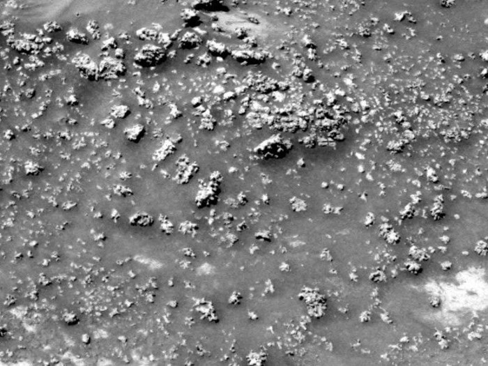Picture 1 of Important evidence shows that Mars is more likely to have life