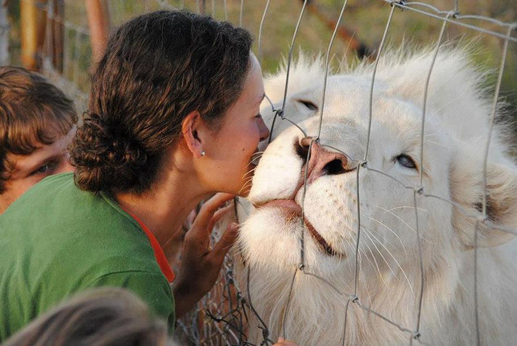 Picture 4 of Impressed by the images of animals with albino disease