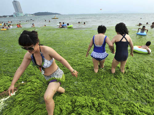 Picture 1 of Impressive environmental images in 2013