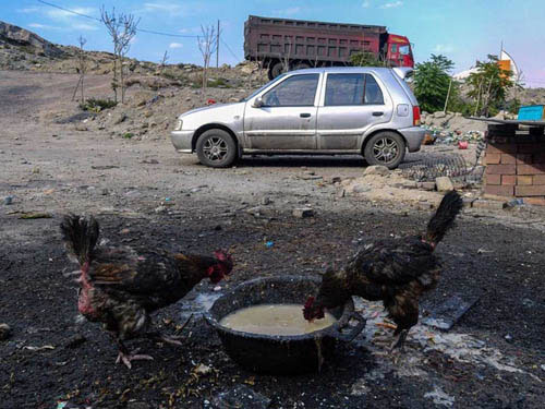 Picture 10 of Impressive environmental images in 2013
